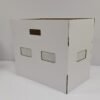 Live Crickets Breathable Shipping Cardboard Box