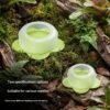 Anti-Escape Reptile Feeding Bowl Gecko Feeder Dish