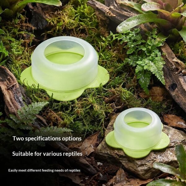 Anti-Escape Reptile Feeding Bowl Gecko Feeder Dish