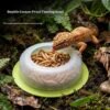 Anti-Escape Reptile Feeding Bowl Gecko Feeder Dish