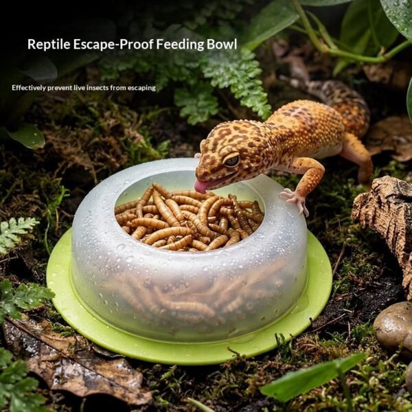 Anti-Escape Reptile Feeding Bowl Gecko Feeder Dish