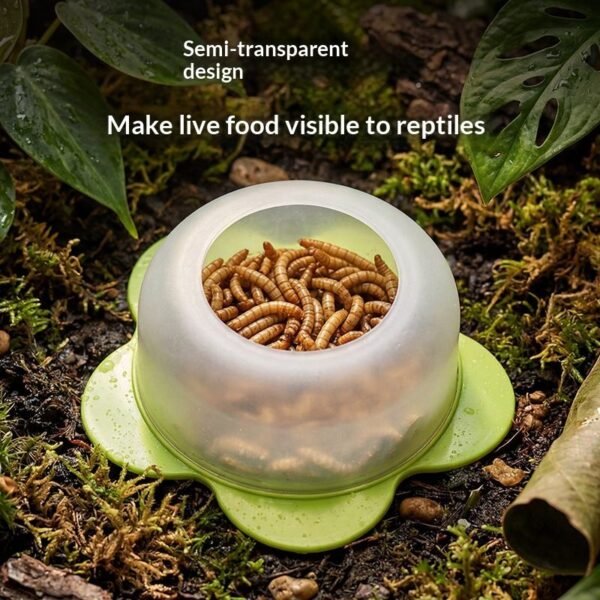 Anti-Escape Reptile Feeding Bowl Gecko Feeder Dish