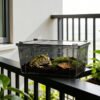 Clear Black Breathable Reptile Enclosure