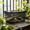 Clear Black Breathable Reptile Enclosure