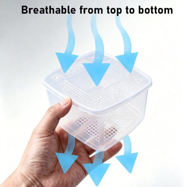 Breathable Reptile Shipping Enclosures Box