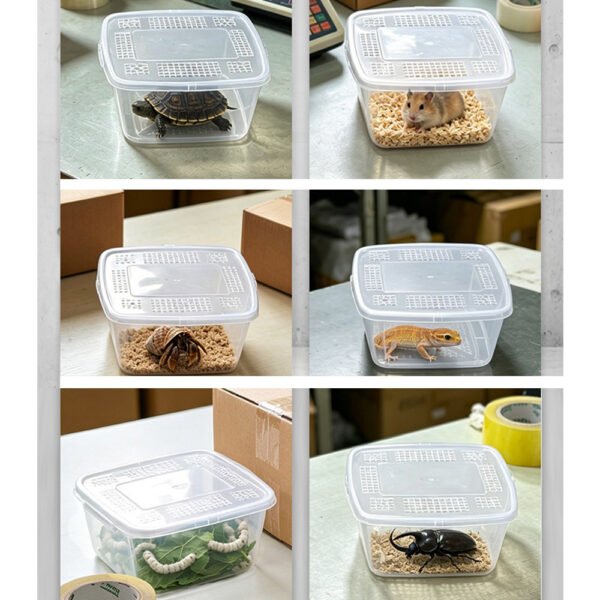 Breathable Reptile Shipping Enclosures Box