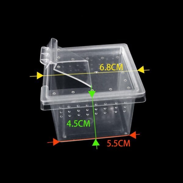 Mini spider breeding box