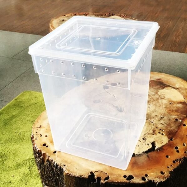 Transparent Ventilated Holes Reptile Feeding Box