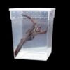 Transparent Ventilated Holes Reptile Feeding Box
