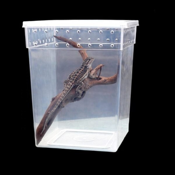 Transparent Ventilated Holes Reptile Feeding Box