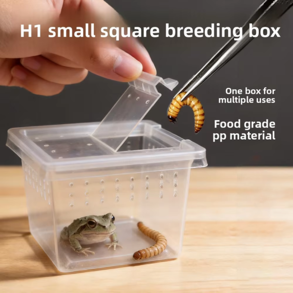 Mini spider breeding box
