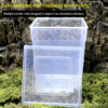Transparent Ventilated Holes Reptile Feeding Box