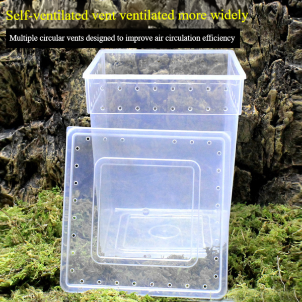 Transparent Ventilated Holes Reptile Feeding Box