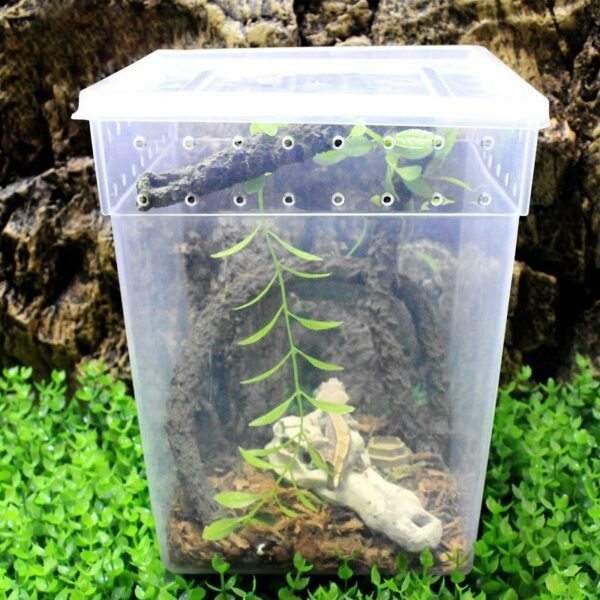 Transparent Ventilated Holes Reptile Feeding Box