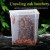 Transparent Ventilated Holes Reptile Feeding Box