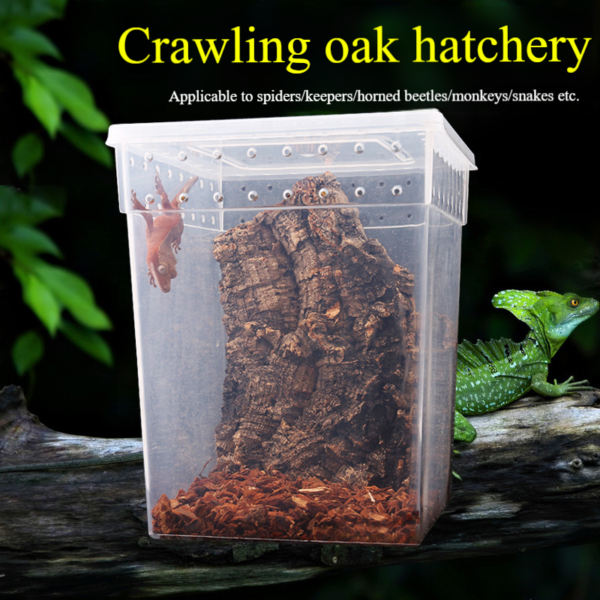 Transparent Ventilated Holes Reptile Feeding Box
