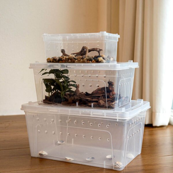 3 Sizes Breeding Keeper Box for Reptile and Small Pets