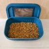 Live Insects Roaches Superworms Mealworms Breeding Box