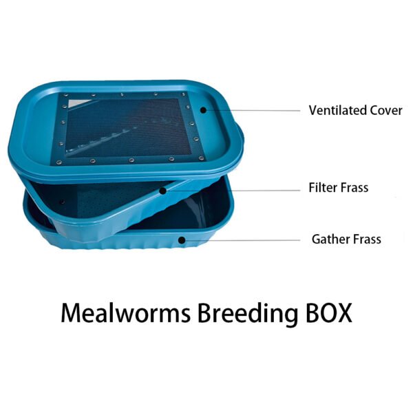 Live Insects Roaches Superworms Mealworms Breeding Box