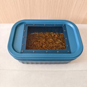 Live Insects Roaches Superworms Mealworms Breeding Box