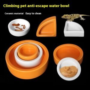 Reptile Non-Escape Ceramic Food Bowl Dish for Geckos Bearded Dragons