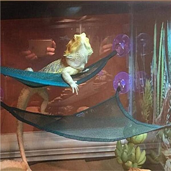 PVC Lizard Hammock Breathable Mesh Geckos Hammock