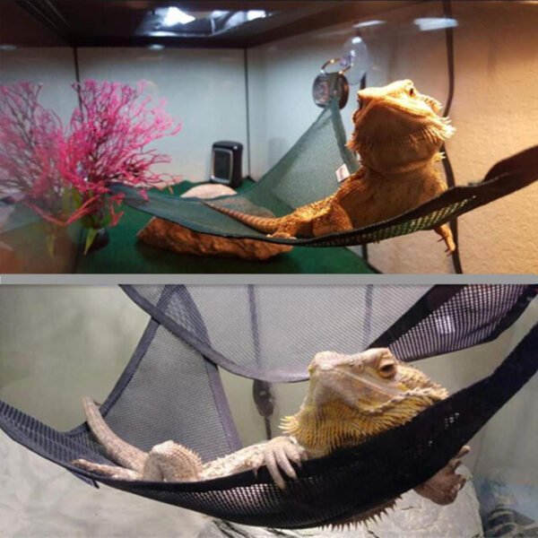 PVC Lizard Hammock Breathable Mesh Geckos Hammock