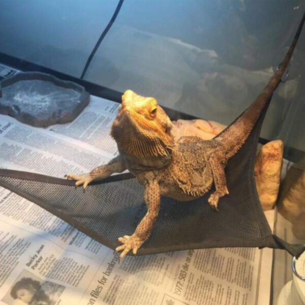 PVC Lizard Hammock Breathable Mesh Geckos Hammock