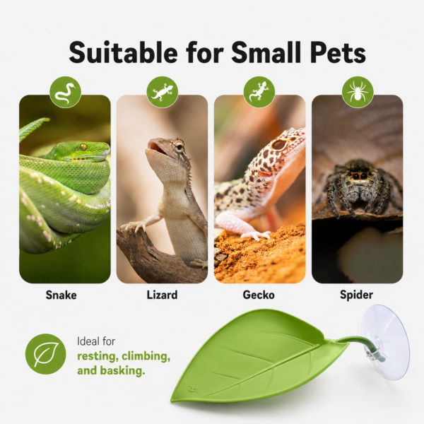 Suction Cup PVC Leaf Hammock for Reptile Terrarium Decor for Lizards and Geckos