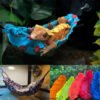 Reptile Hanging Swing Hammock for Lizard Chameleon Climbing Toys