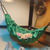 Reptile Hanging Swing Hammock for Lizard Chameleon Climbing Toys