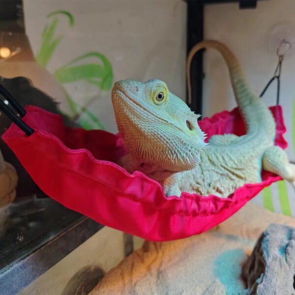 Reptile Hanging Swing Hammock for Lizard Chameleon Climbing Toys