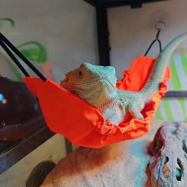 Reptile Hanging Swing Hammock for Lizard Chameleon Climbing Toys