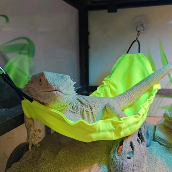 Reptile Hanging Swing Hammock for Lizard Chameleon Climbing Toys