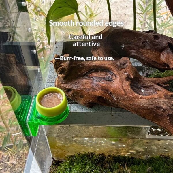 Wall Mounted Hanging Fruit Puree Bowl for Reptiles