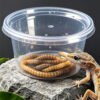Transparent Reptile keeper Container Box Bait Cup with Ventilated Holes