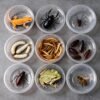 Transparent Reptile keeper Container Box Bait Cup with Ventilated Holes