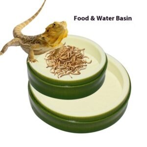Green Eco-friendly Plastic Bowl Leaf-Shaped Dish for Reptile