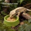 Reptile Feeding Bowl Dish for Crested Gecko Spider Mantis Lizard