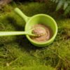 Reptile Fruit Puree Bowl for Crested Gecko Mixing Bowl and Feeding Spoon Set