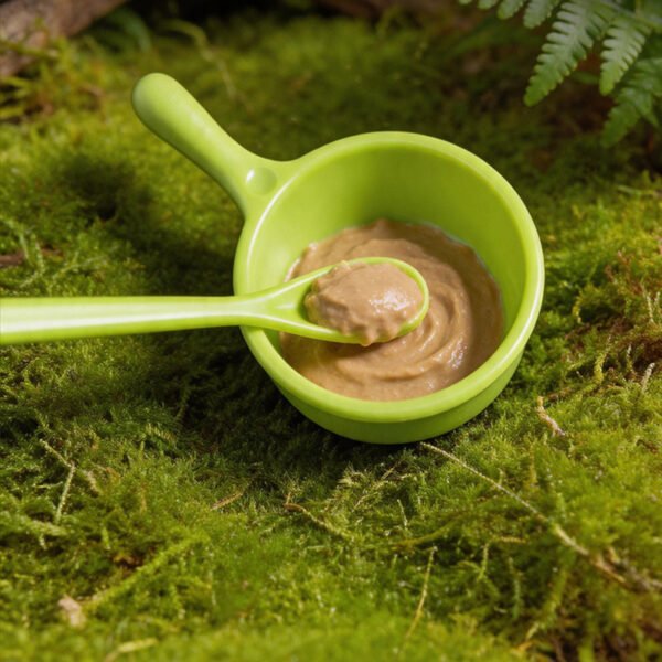 Reptile Fruit Puree Bowl for Crested Gecko Mixing Bowl and Feeding Spoon Set