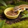 Reptile Fruit Puree Bowl for Crested Gecko Mixing Bowl and Feeding Spoon Set